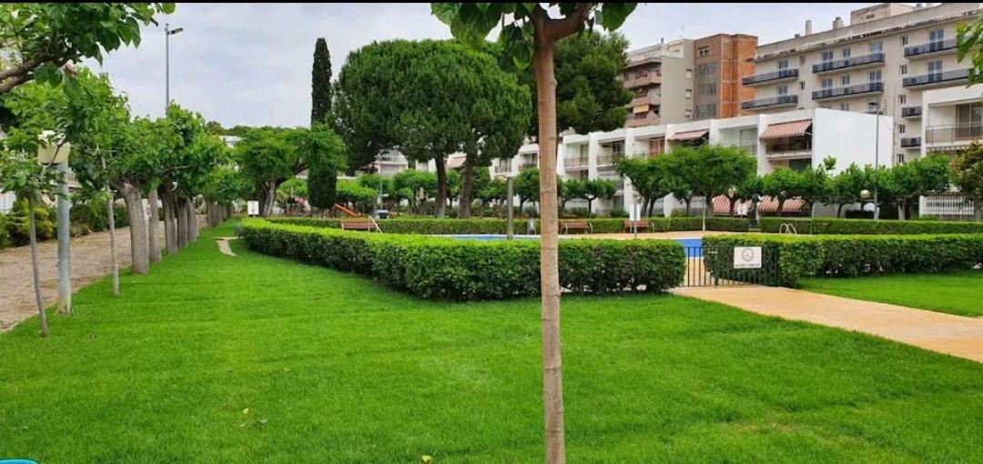 Apartamento Pitarra Cerca De Portaventura 萨洛 外观 照片
