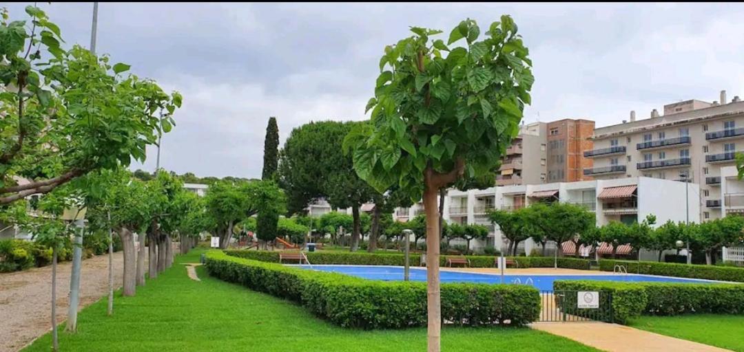 Apartamento Pitarra Cerca De Portaventura 萨洛 外观 照片