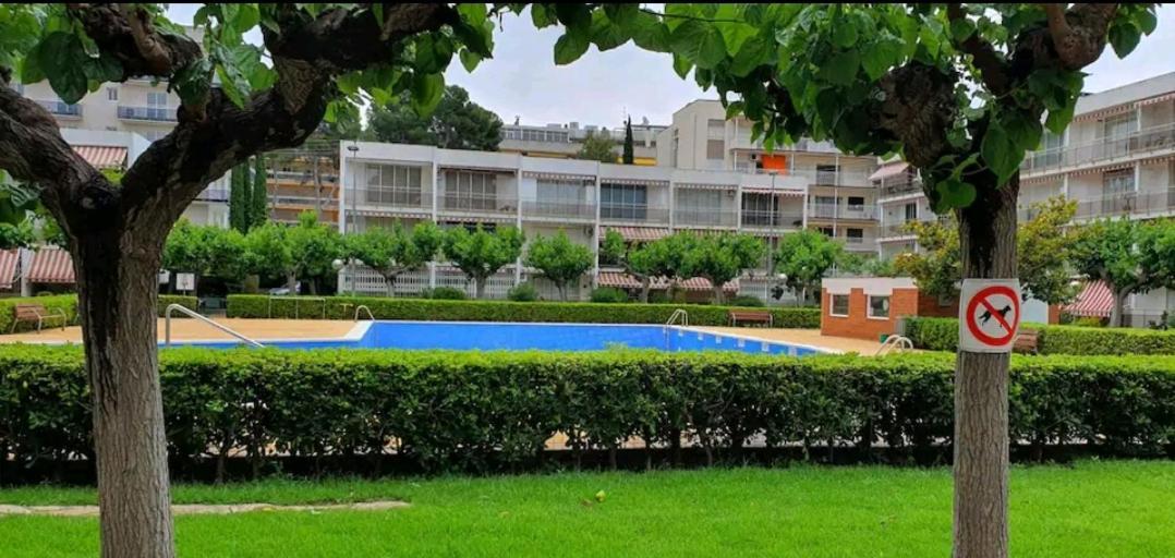 Apartamento Pitarra Cerca De Portaventura 萨洛 外观 照片